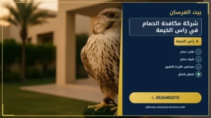 شركة مكافحة الحمام في راس الخيمة
