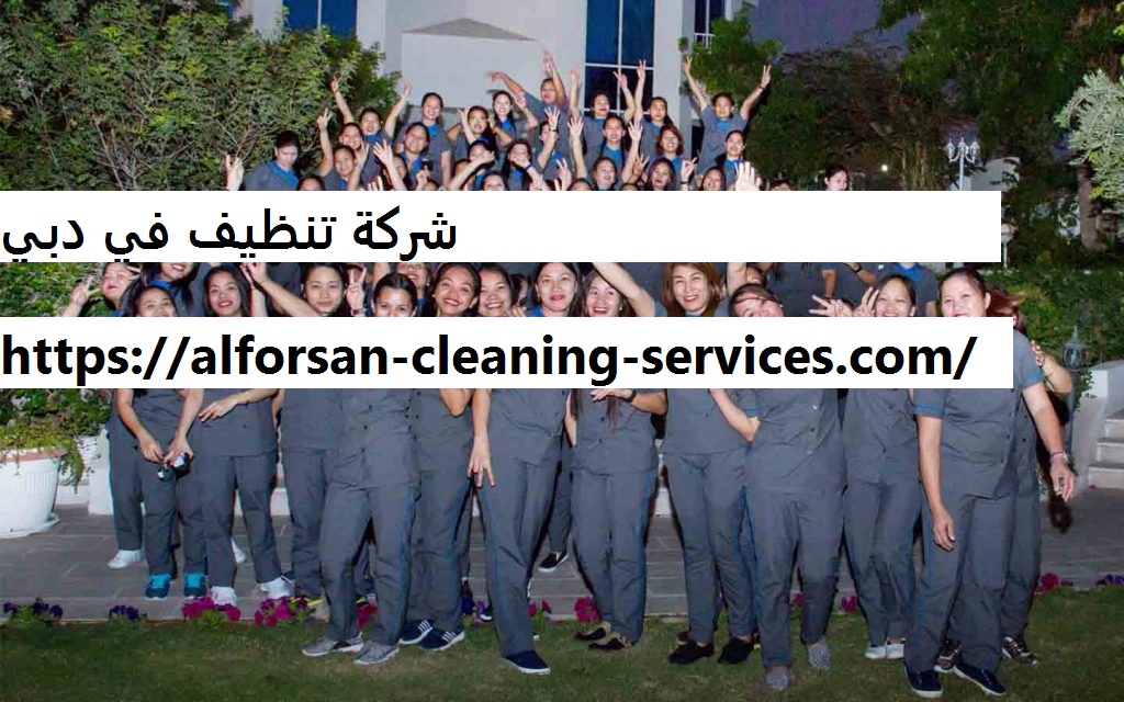 شركة تنظيف في دبي