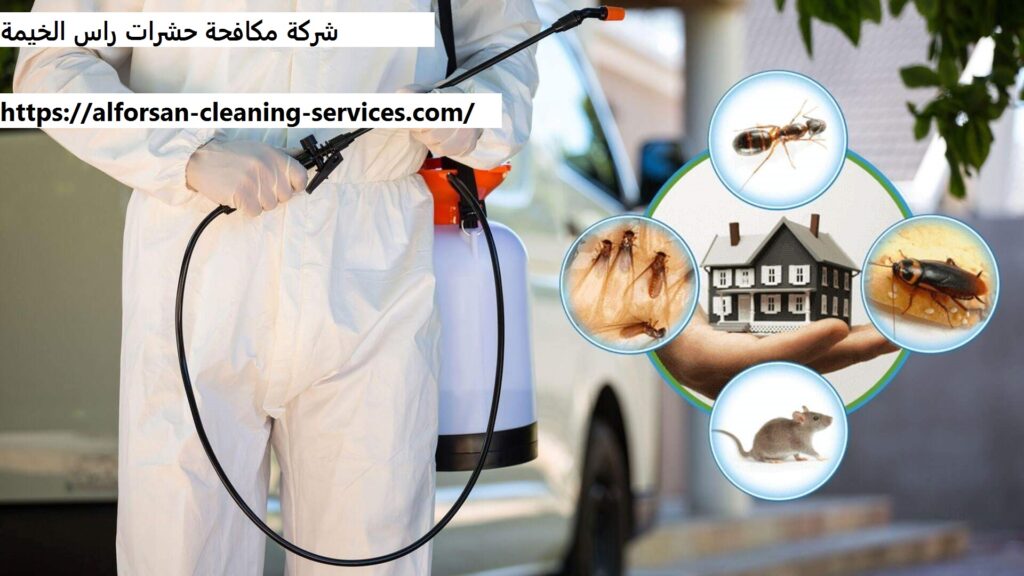 شركة مكافحة حشرات راس الخيمة